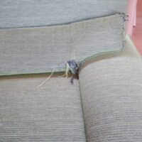 ソファー張替リペアしました。