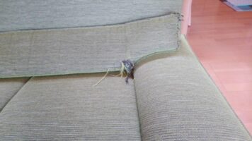 ソファーの張替を致しました。